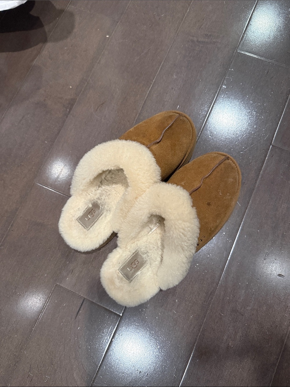 UGG Chestnut/Tan Suede Shearling Clog Slippers